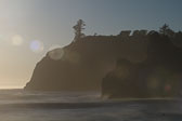 Olympic National Park