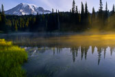 Mt. Rainier National Park